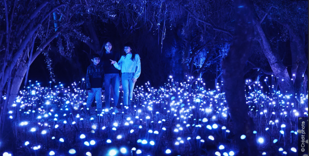 crédit photo : moment factory light cycle la villette santiago crystal grove