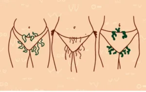 Journal de mon corps