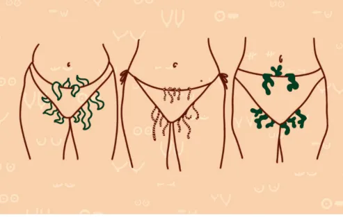 Journal de mon corps