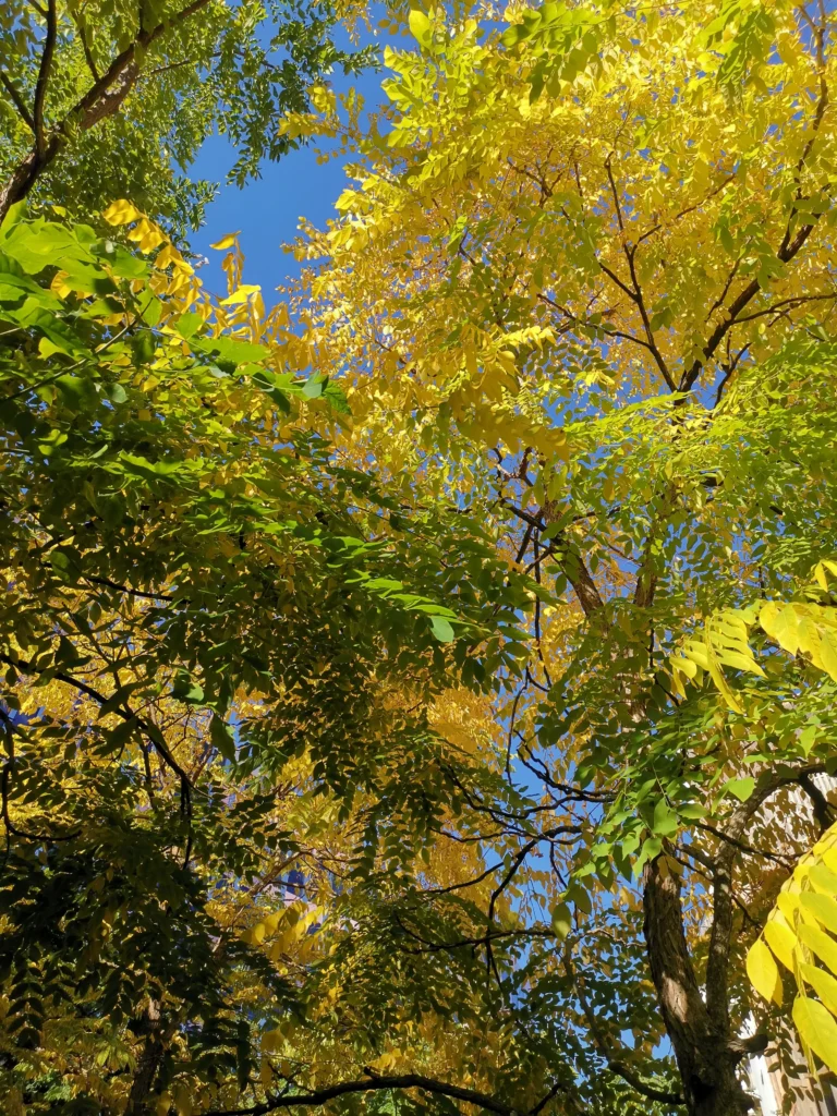 balade nature paris