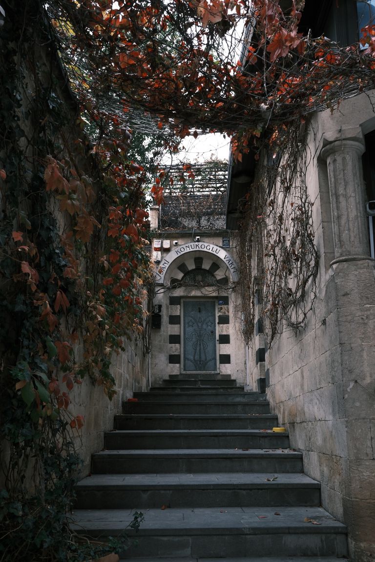 A mysterious stone staircase framed by ivy leads to a vintage door in an old building.