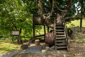 A rustic treehouse nestled in a leafy landscape in Ribnjačka, Croatia, offering a serene outdoor retreat.