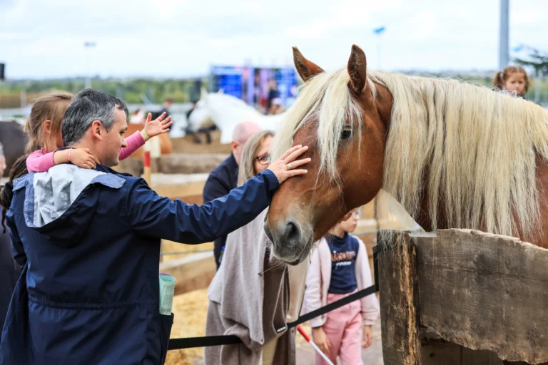 La Fête du Cheval